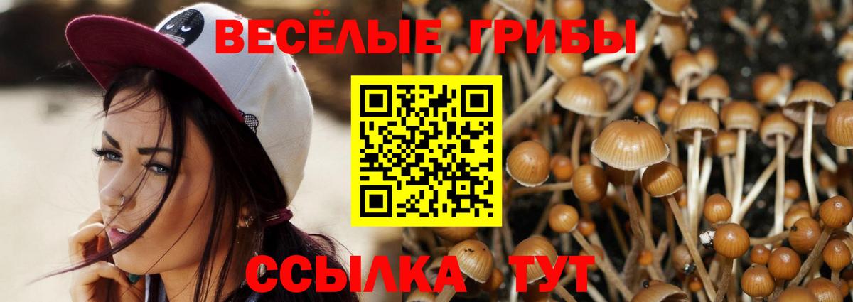 Галлюциногенные грибы MAGIC MUSHROOMS Октябрьский